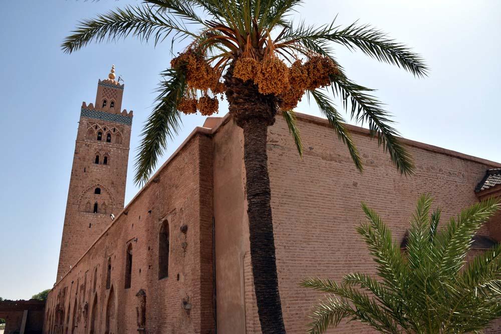 Marrakech in 3 giorni: il miglior itinerario giorno per giorno