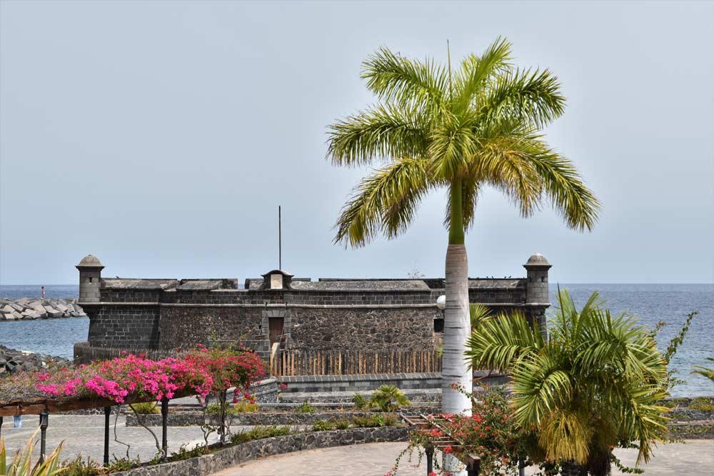 15 cose da fare e vedere a Santa Cruz de Tenerife