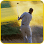 Vacation rentals Golf