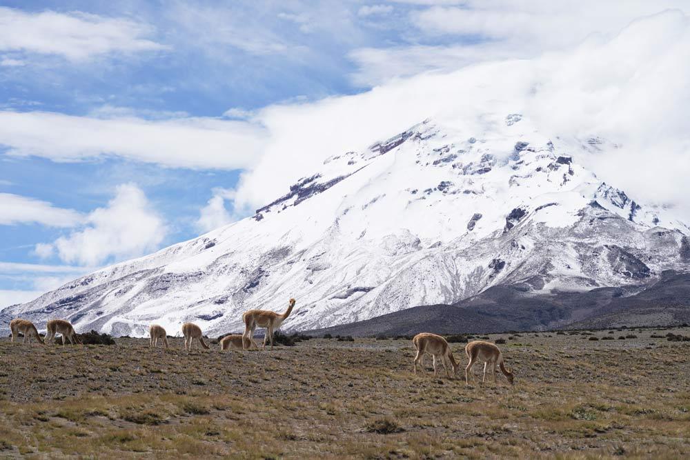 que ver y hacer en Ecuador volcán Chimborazo