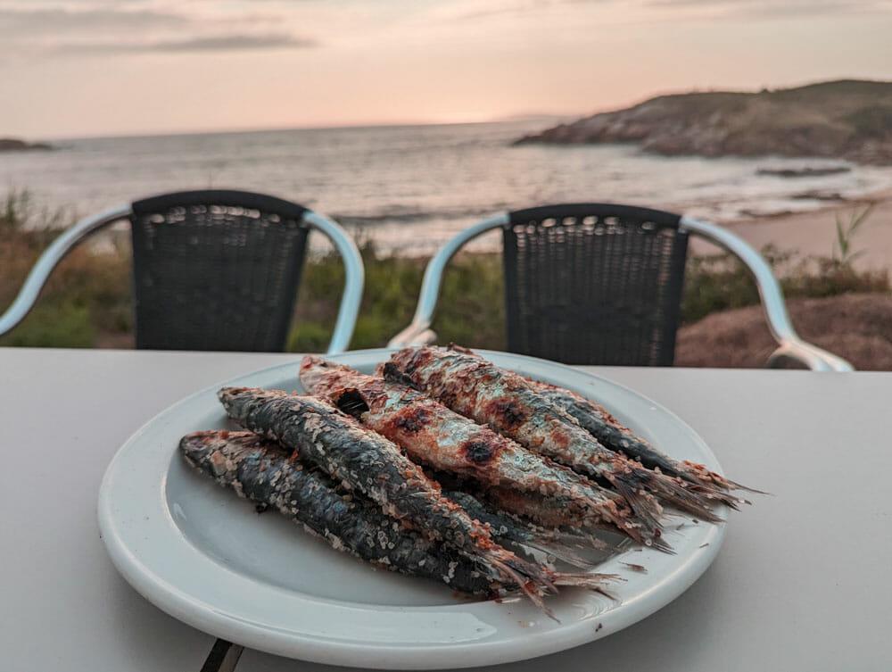 sardine alla griglia