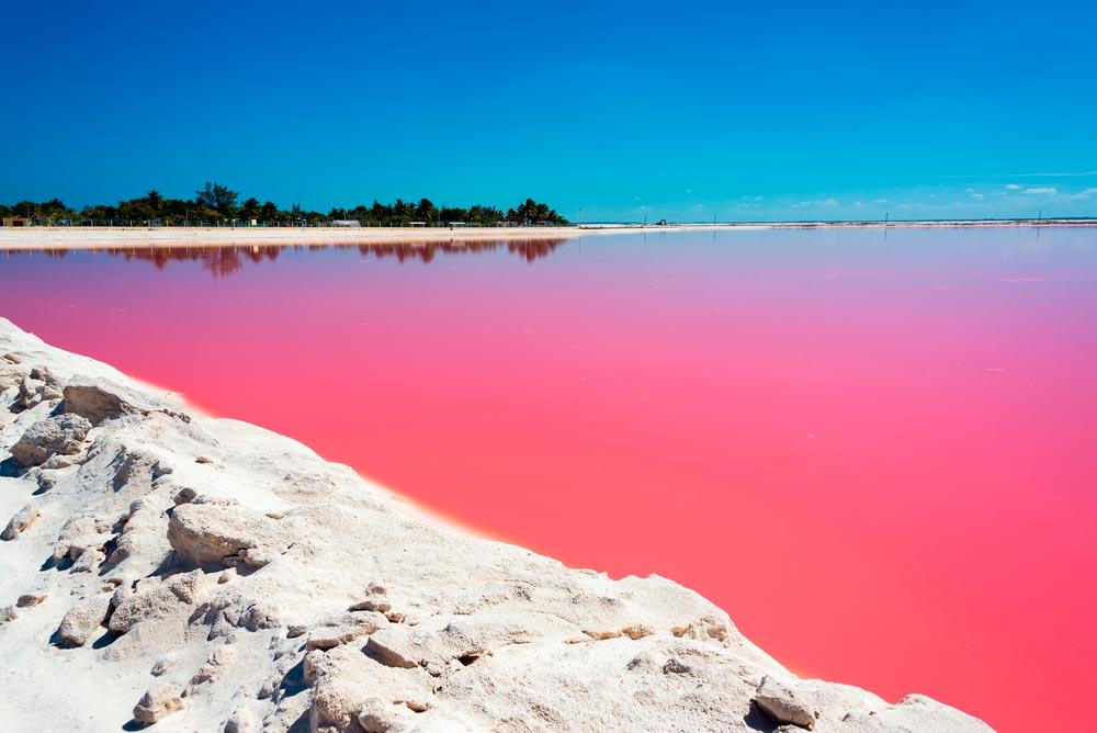 Las Coloradas Penisola di Yucatán Messico