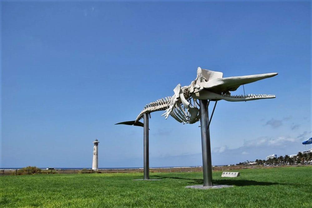 Faro di Morro Jable Fuerteventura