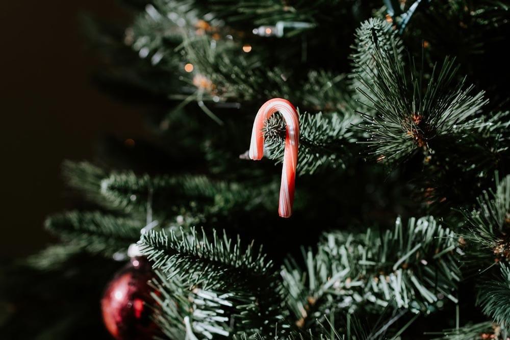 curiosità di Germania albero di Natale