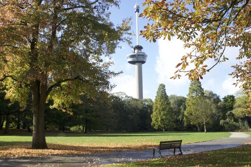 Torre Euromast in un parco