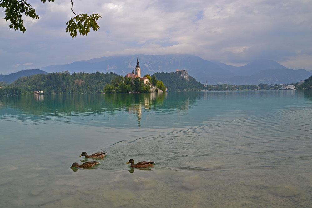 Cosa vedere e fare nei Balcani, lago Bled