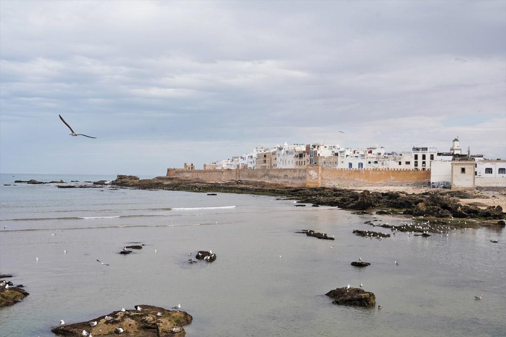 vista panoramica Essaouira