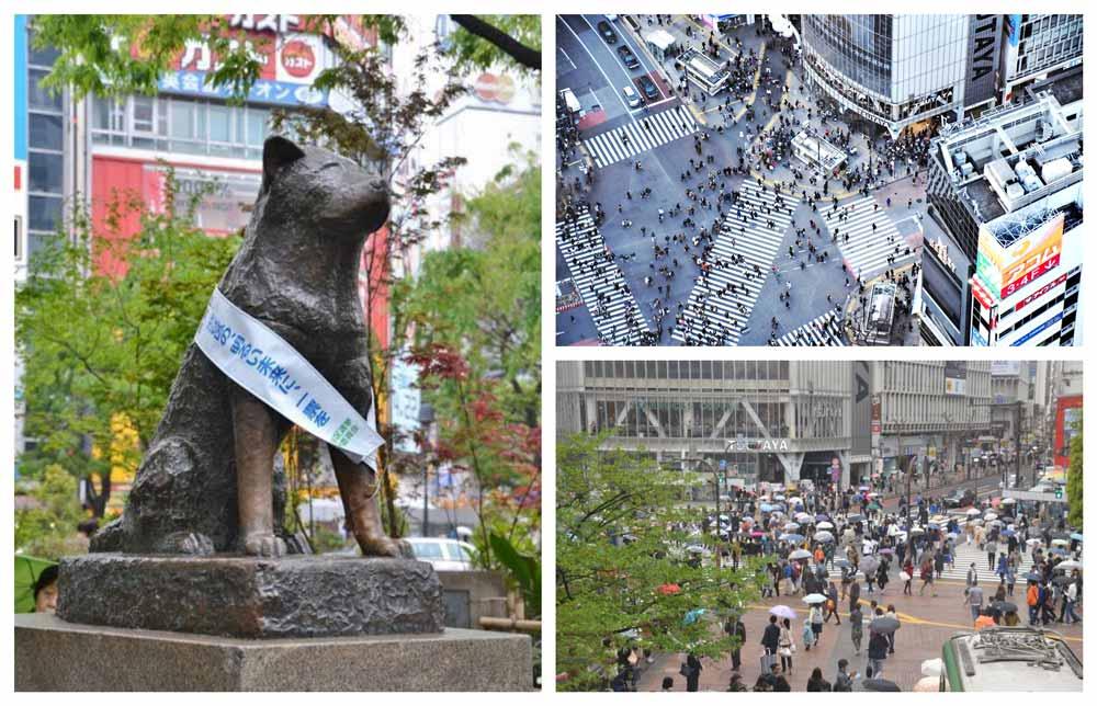 cosa vedere a Shibuya