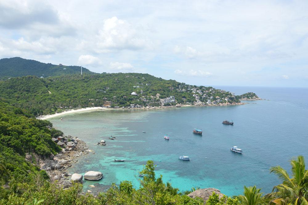 snorkeling a Shark Bay Koh Tao