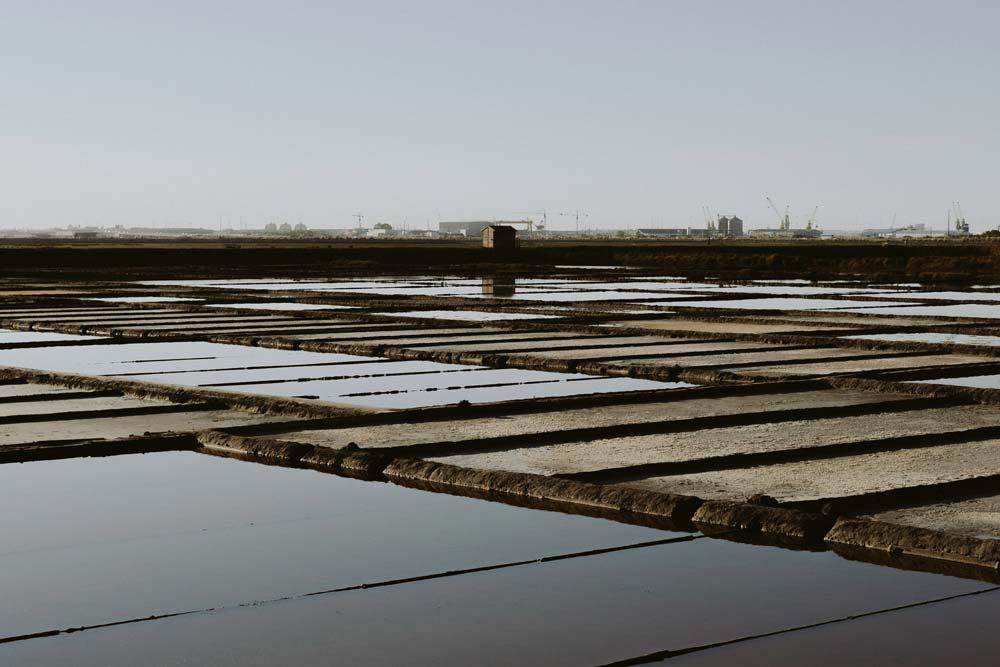 saline di Aveiro