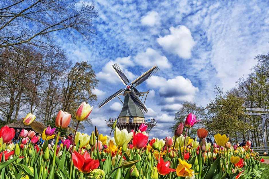 Parco di Keukenhof nei Paesi Bassi