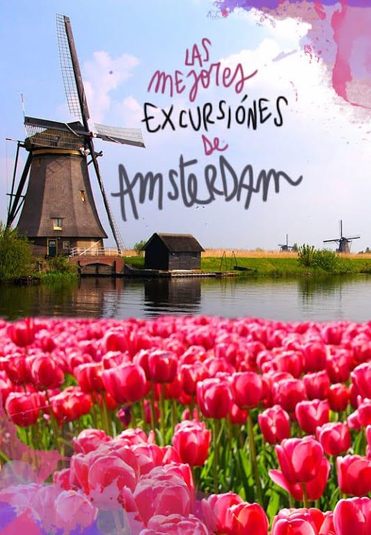migliori escursioni da Amsterdam