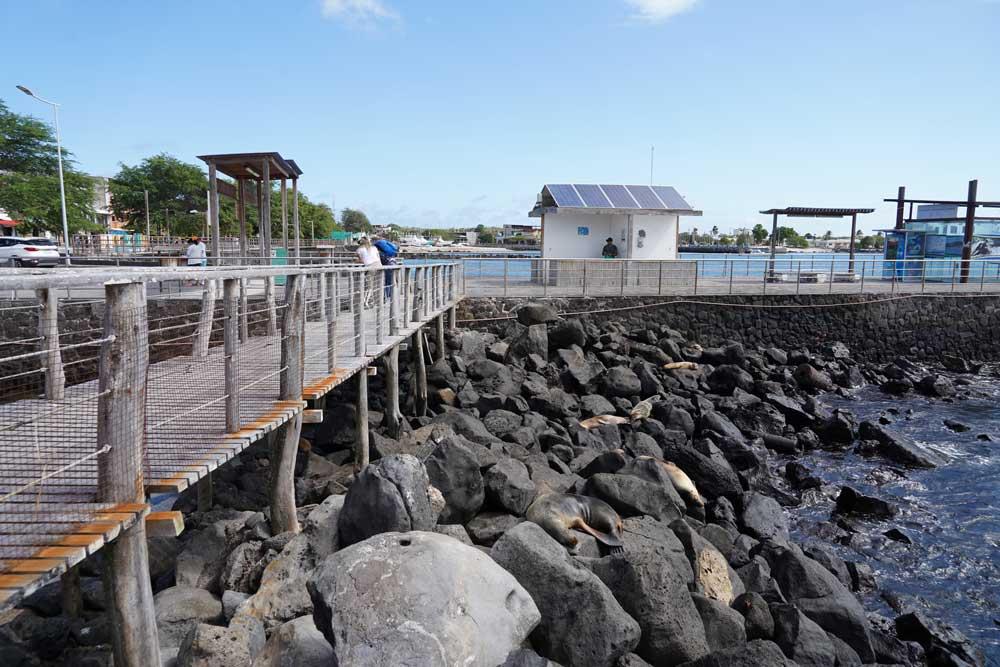 molo di San Cristóbal Galápagos
