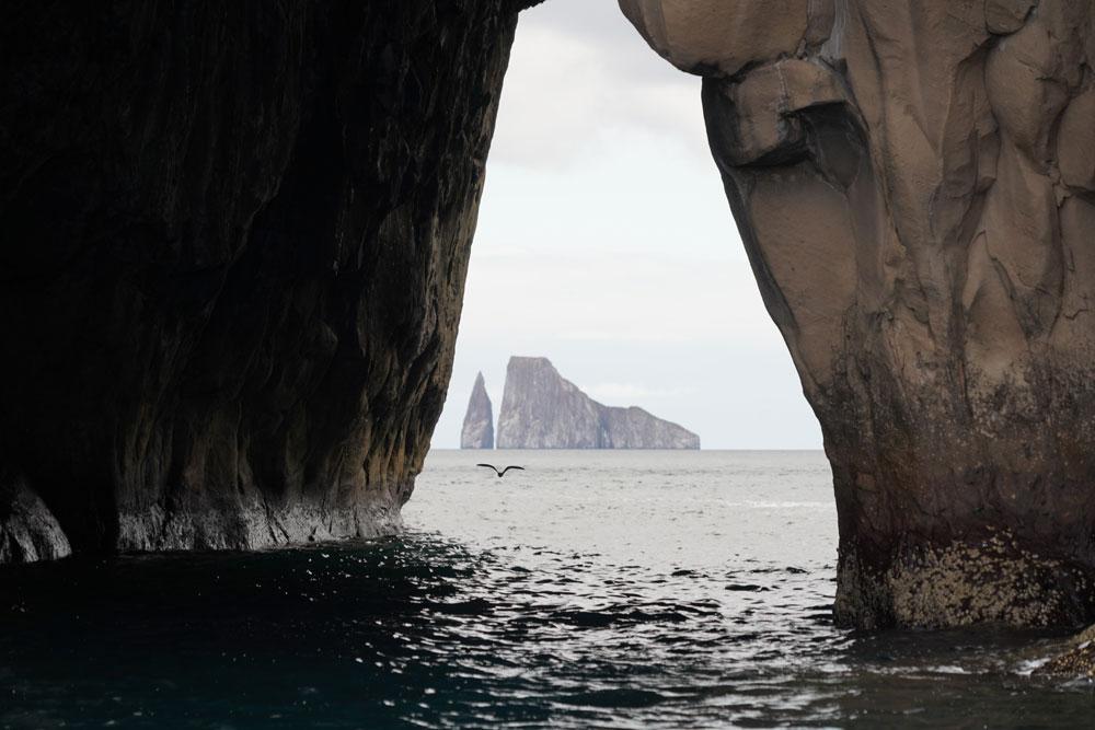 Kicker Rock San Cristóbal Galápagos
