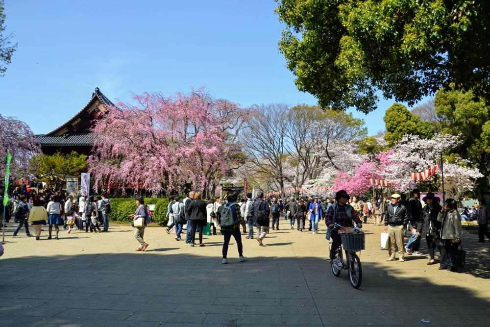 Ueno Park a Tokyo durante l'hanami