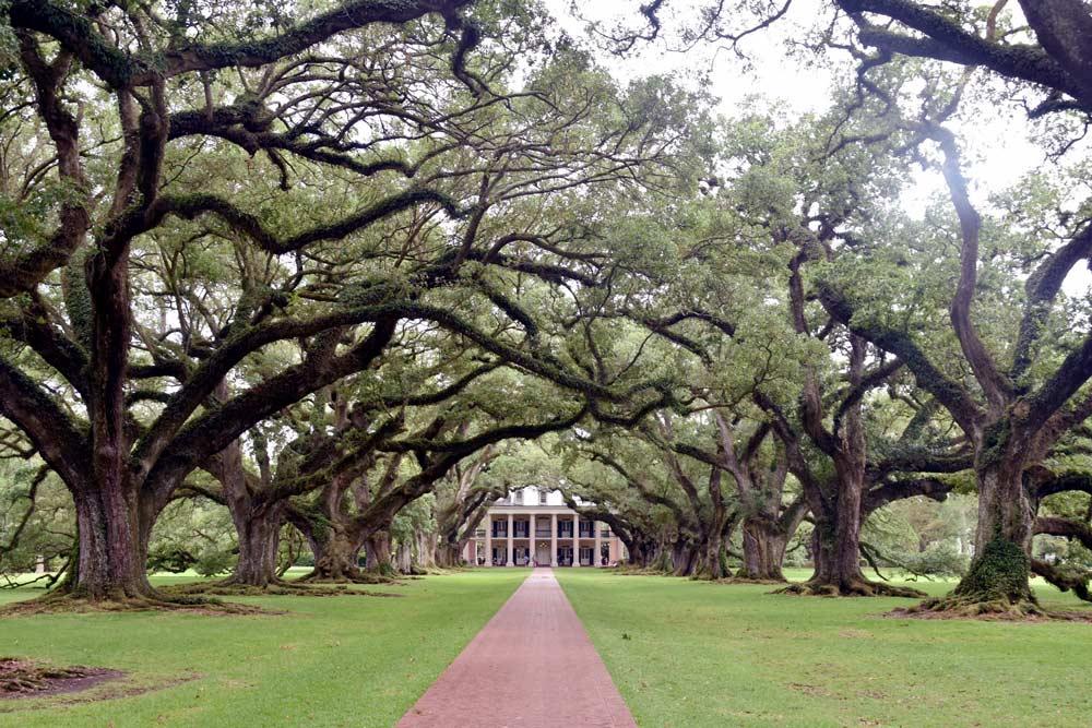 escursione Oak Valley da New Orleans