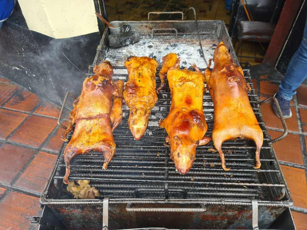 piatti tipici da mangiare in Ecuador Cuy Asado