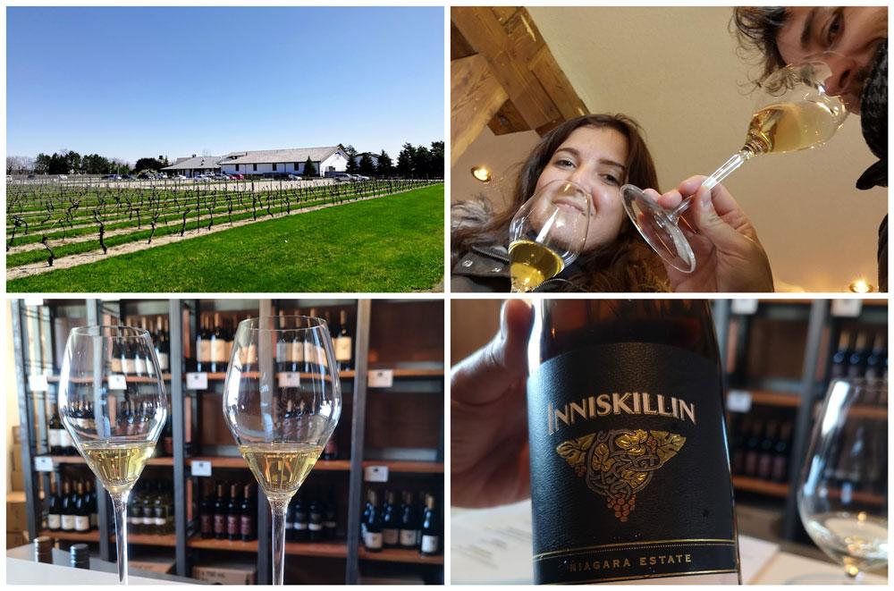 cantine e degustazioni di vino a Niagara Falls