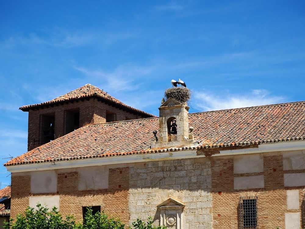 cosa vedere e fare a Toro Zamora