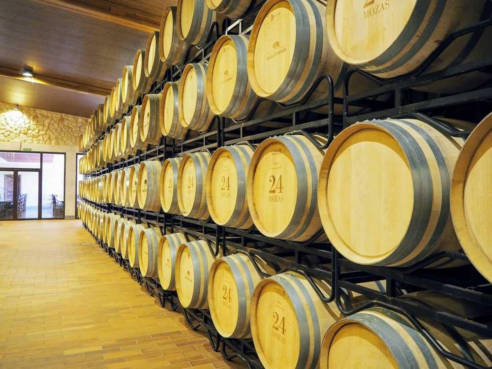 Cantina "Divina Proporción" Toro