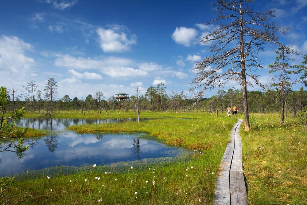 cosa vedere nel Parco Nazionale di Lahemaa (Estonia)