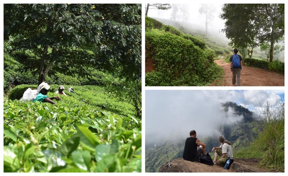 little adams peak, tra le migliori cose da vedere e fare a Ella
