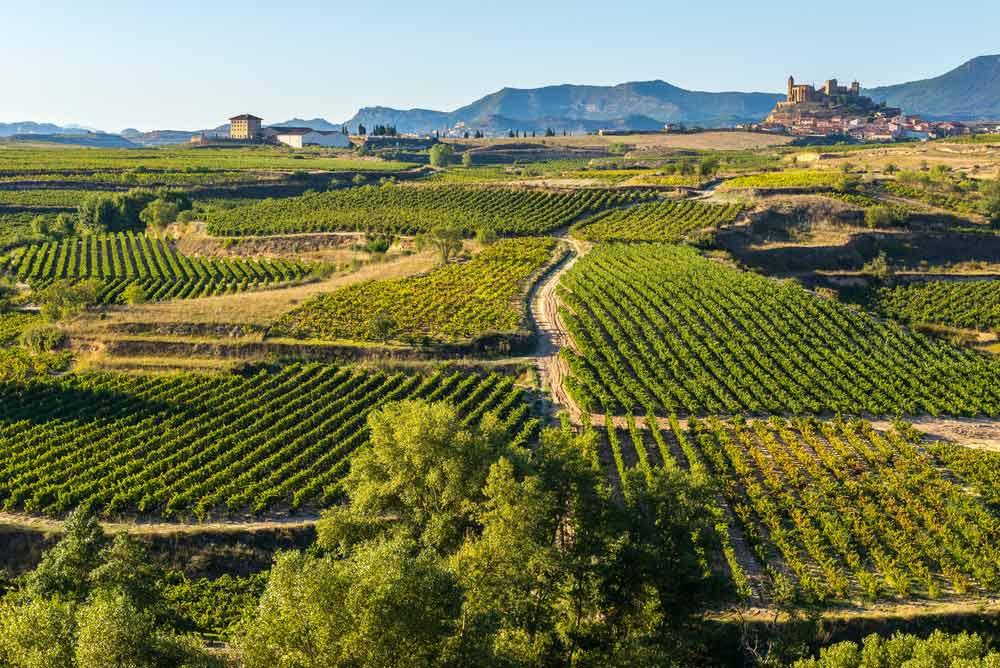 Vigneti in La Rioja