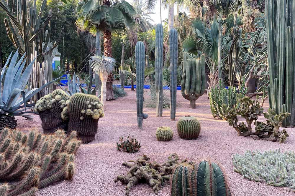 Giardino Majorelle a Marrakech