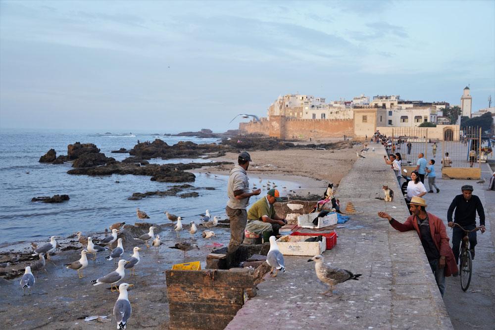 Essaouira Marocco