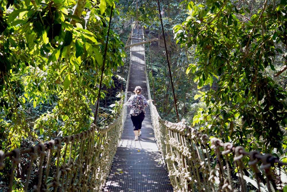 cosa fare a Mae Kampong ponte sospeso del Teddu Coffee