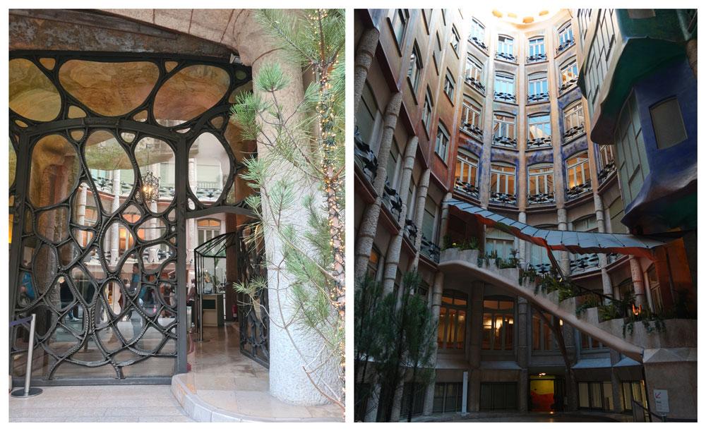 cortile delle farfalle