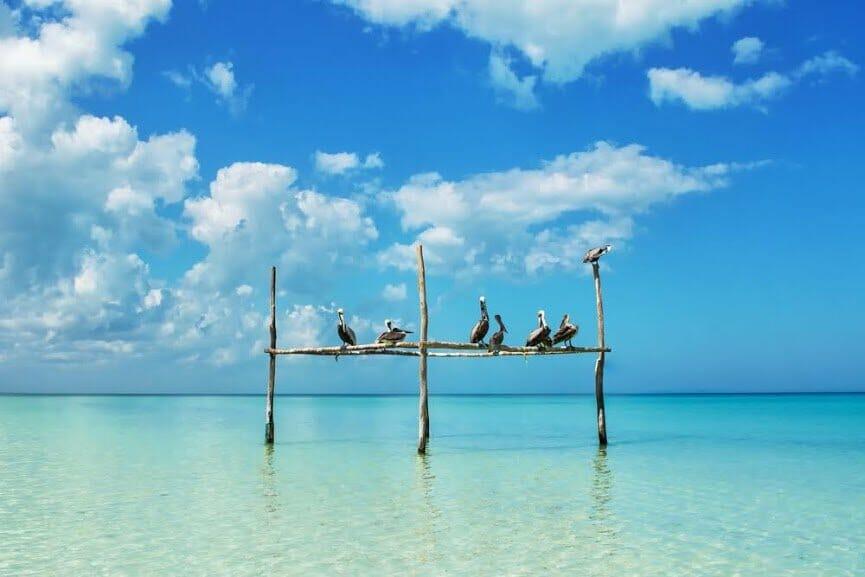 escursione Holbox Riviera Maya