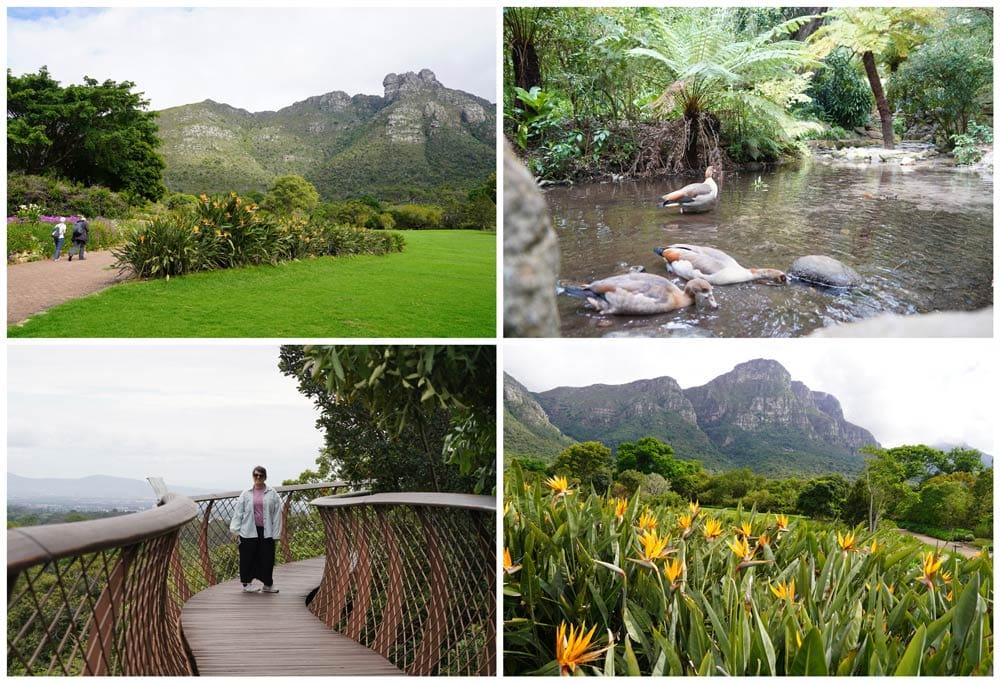 Giardino Botanico di Kirstenbosch