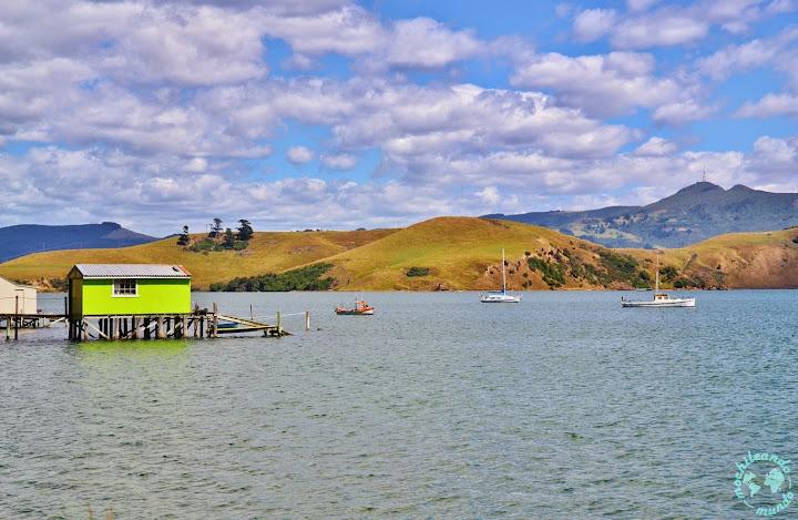Portobello, paese nella Penisola di Otago