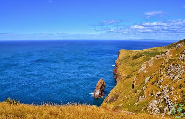 Paesaggio costiero nella Penisola di Otago