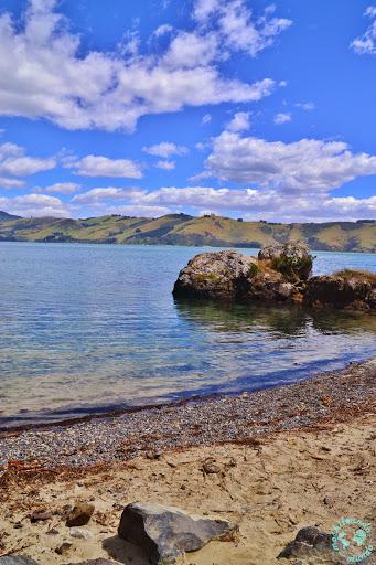 Vista della baia nella Penisola di Otago