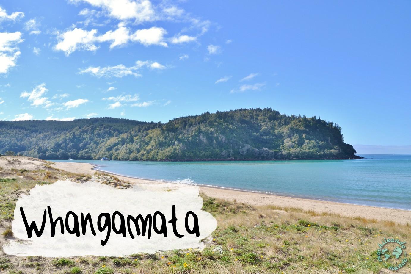 spiaggia whangamata