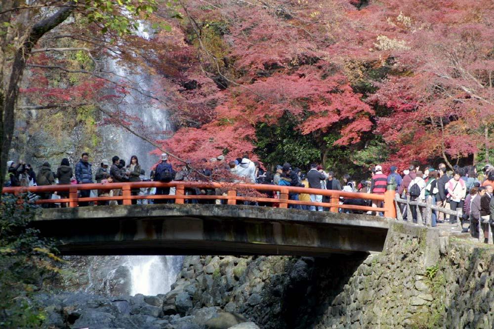 Escursioni da Osaka Mino
