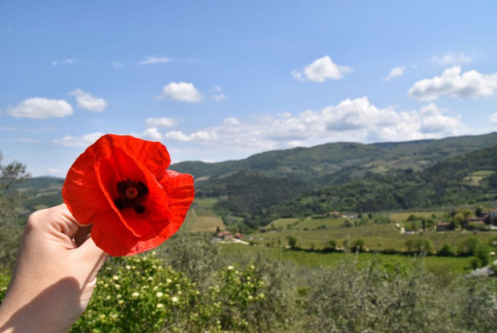 cosa vedere in toscana