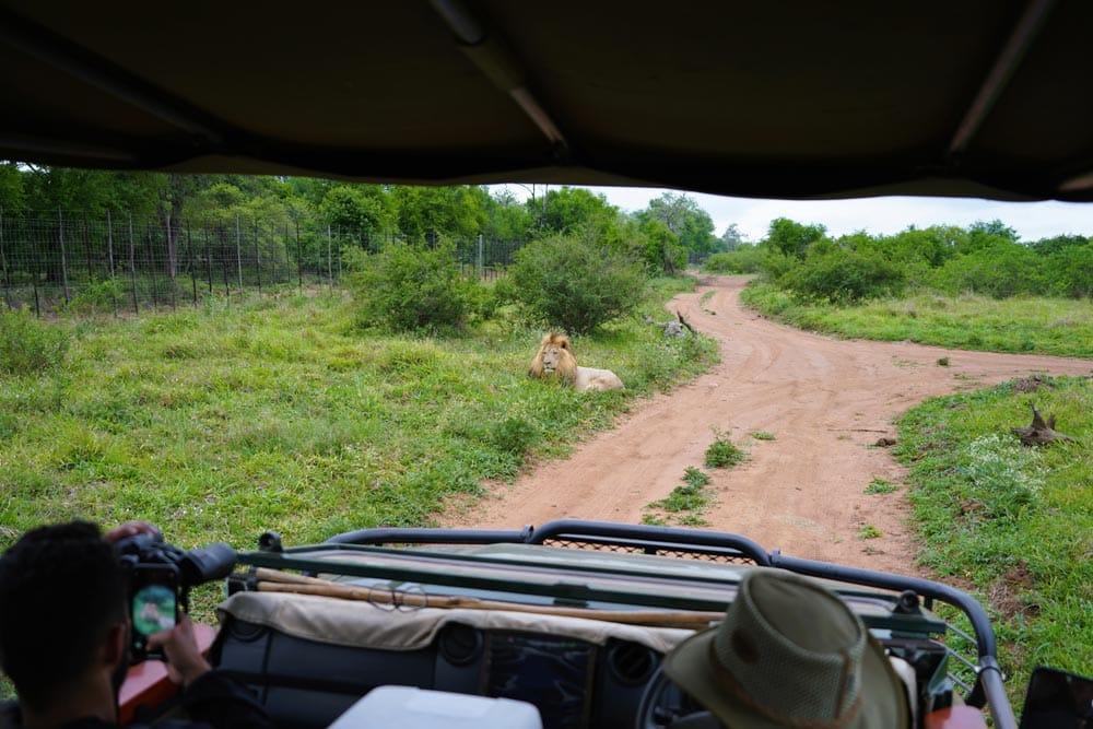 safari nel Parco Nazionale Reale di Hlane in Eswatini