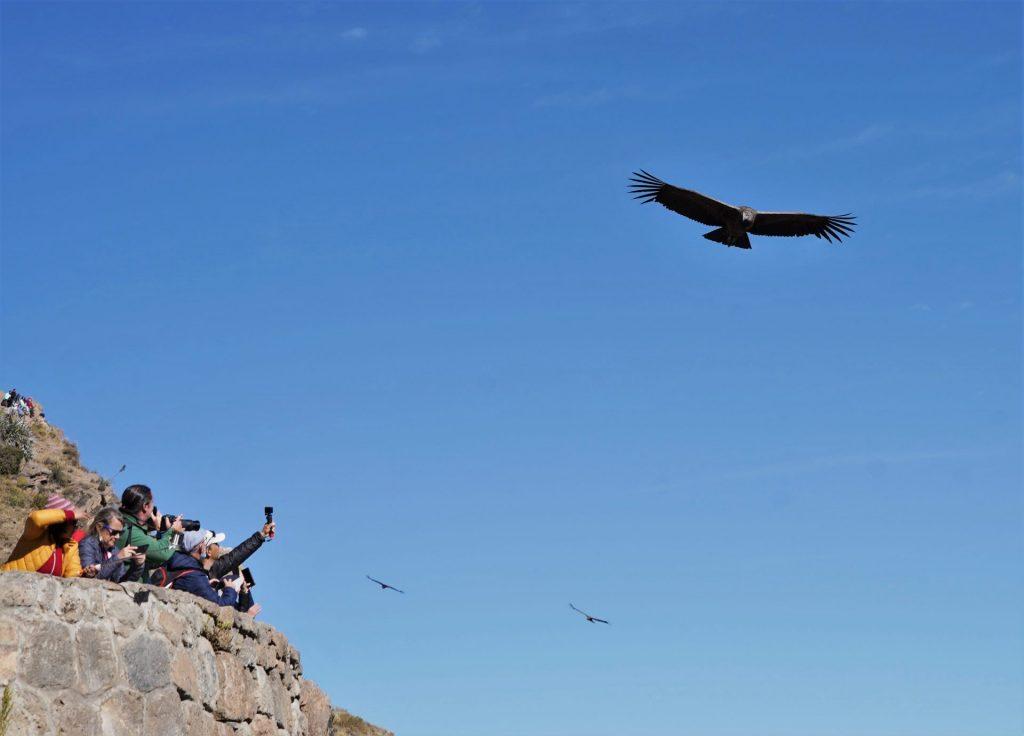 mirador Cruz del Cóndor Perù