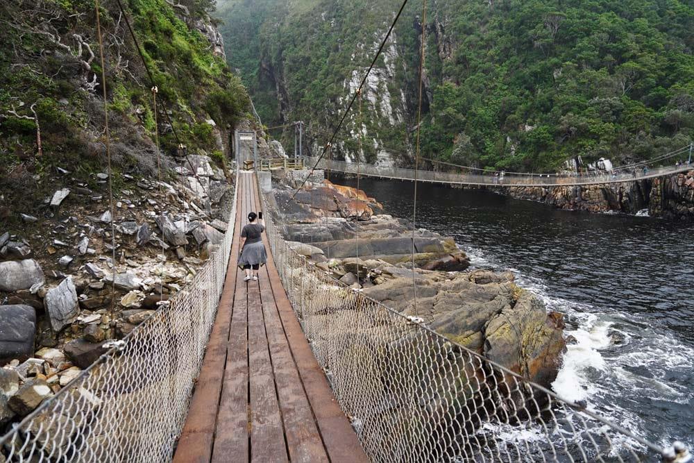 ponti sospesi nel Parco Nazionale Tsitsikamma in Sudafrica