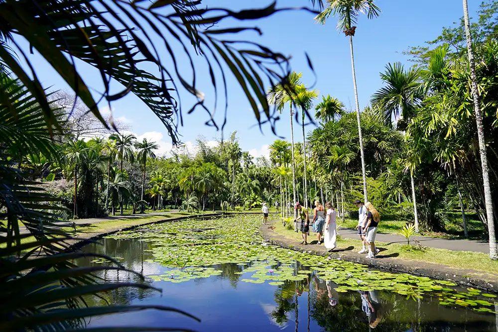Giardino Botanico di Pamplemousses Isola Mauritius