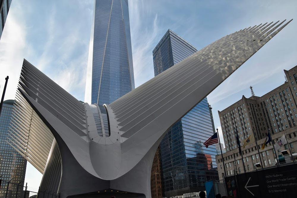 oculus, nueva york