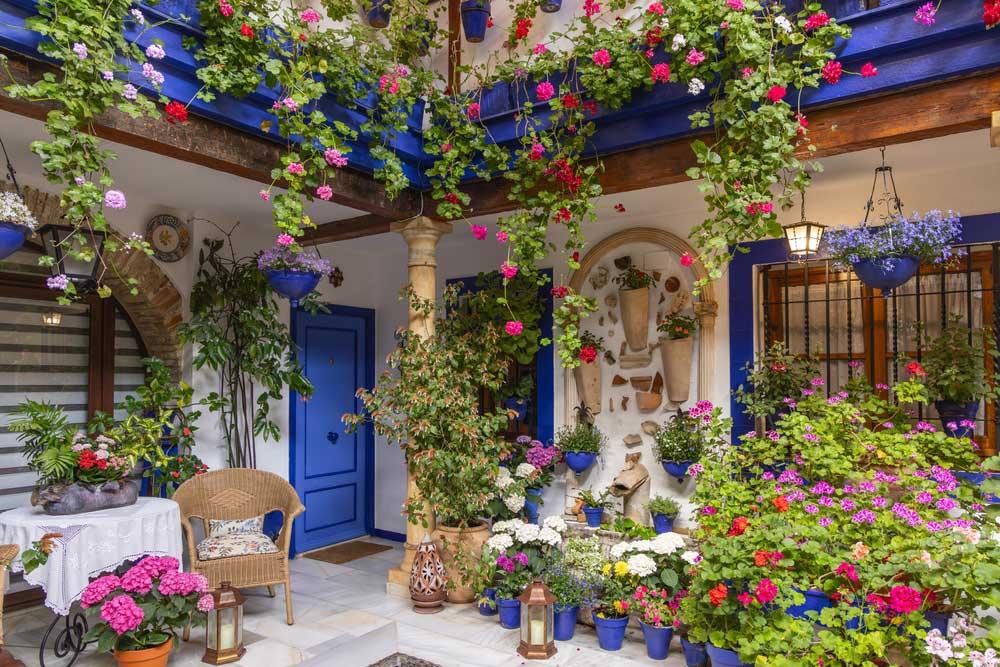 vasi con fiori in un Cortile di Córdoba