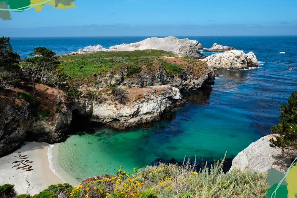 Point Lobos, big sur