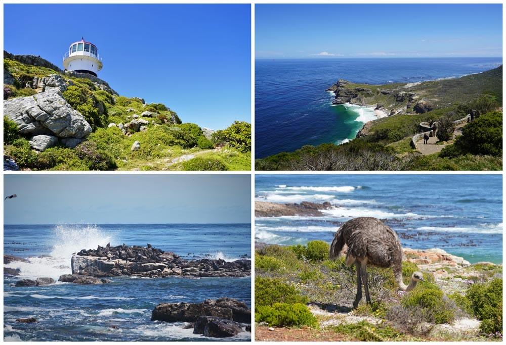 Parque Nacional Cabo de Buena Esperanza en la Península del Cabo