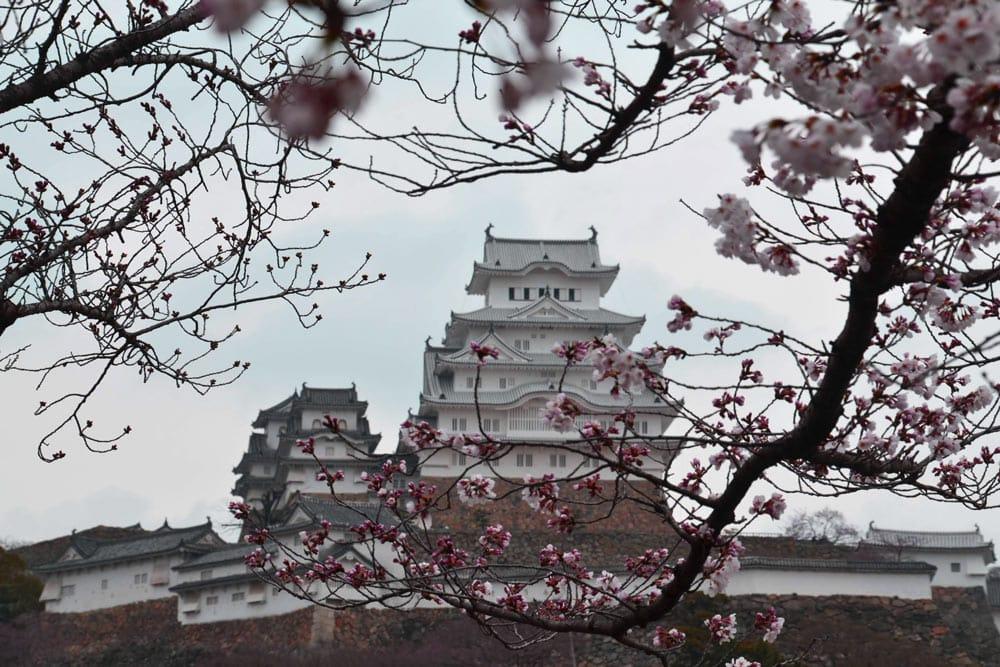 castello di himeji, una delle migliori escursioni di kyoto