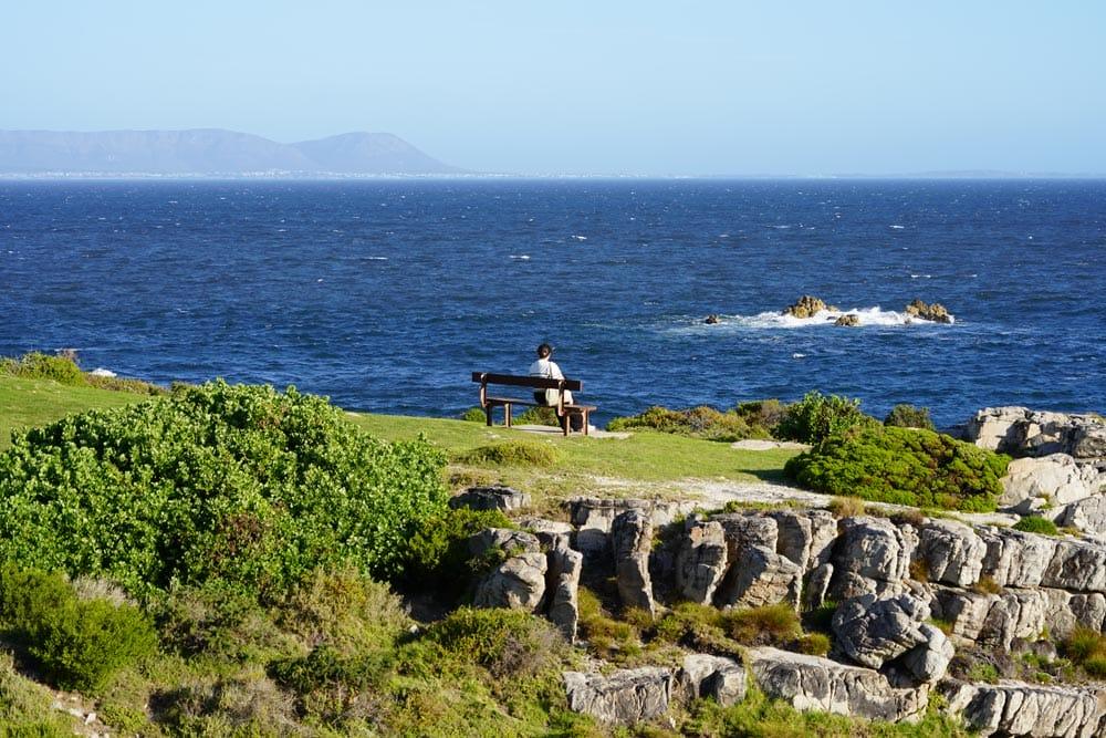 cliff path a hermanus