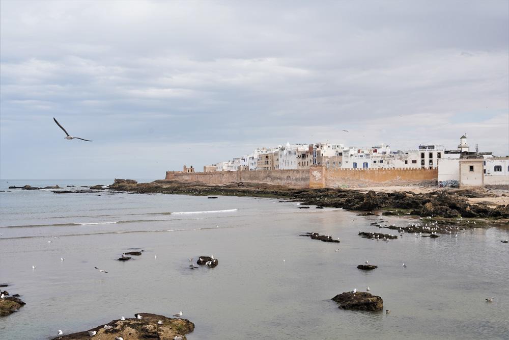 escursioni da Marrakech Essaouira